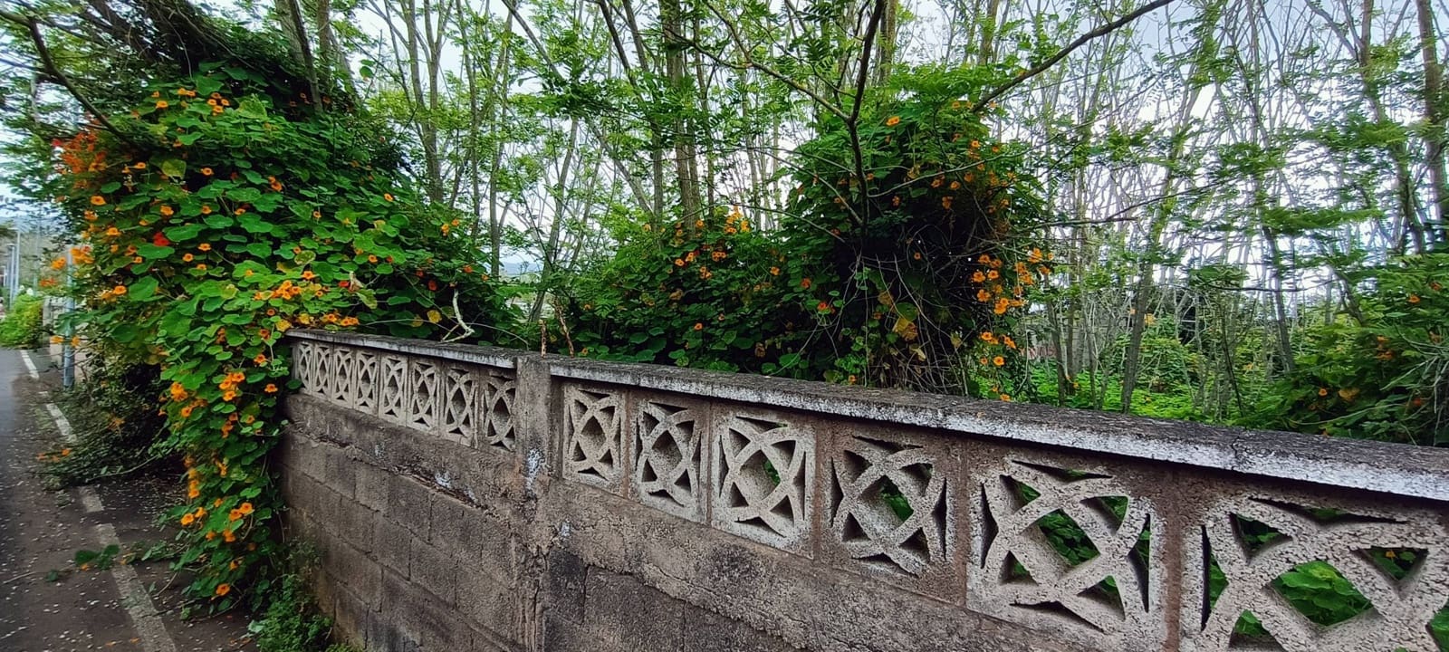 Building Plot for sale in San Cristobal de La Laguna - € 106,000 (Ref: 9048746)