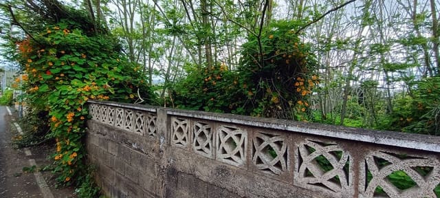 Tontti myytävänä paikassa San Cristóbal de La Laguna - 106 000 € (Ref: 9048746)