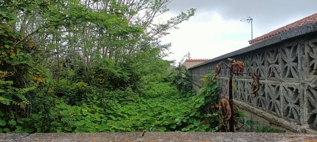 Tontti myytävänä paikassa San Cristóbal de La Laguna - 106 000 € (Ref: 9048746)