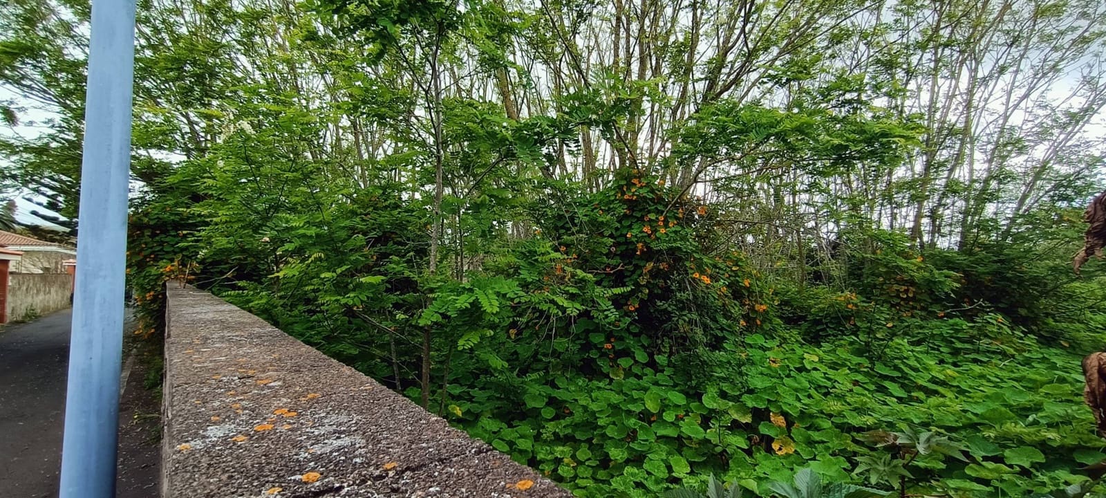 Building Plot for sale in San Cristobal de La Laguna - € 106,000 (Ref: 9048746)