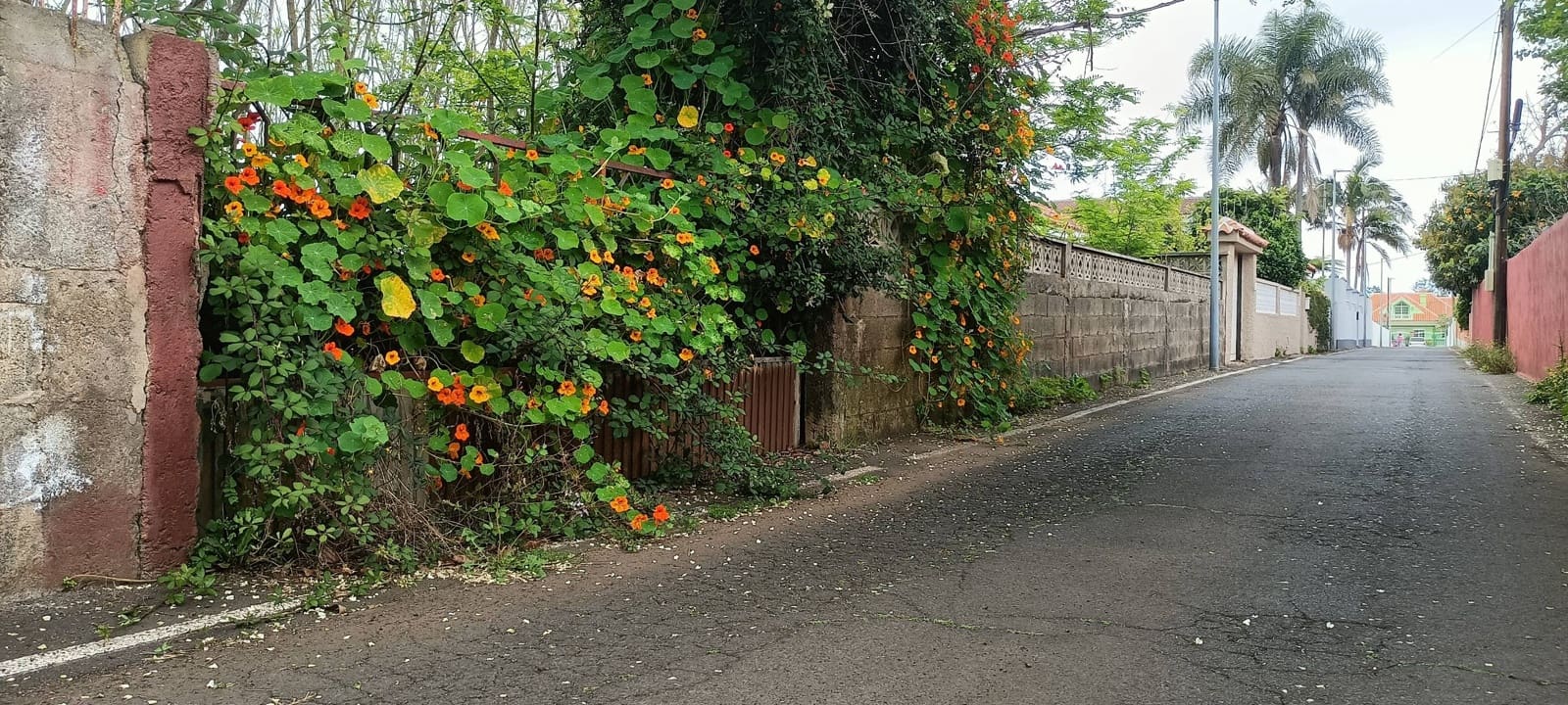 Building Plot for sale in San Cristobal de La Laguna - € 106,000 (Ref: 9048746)