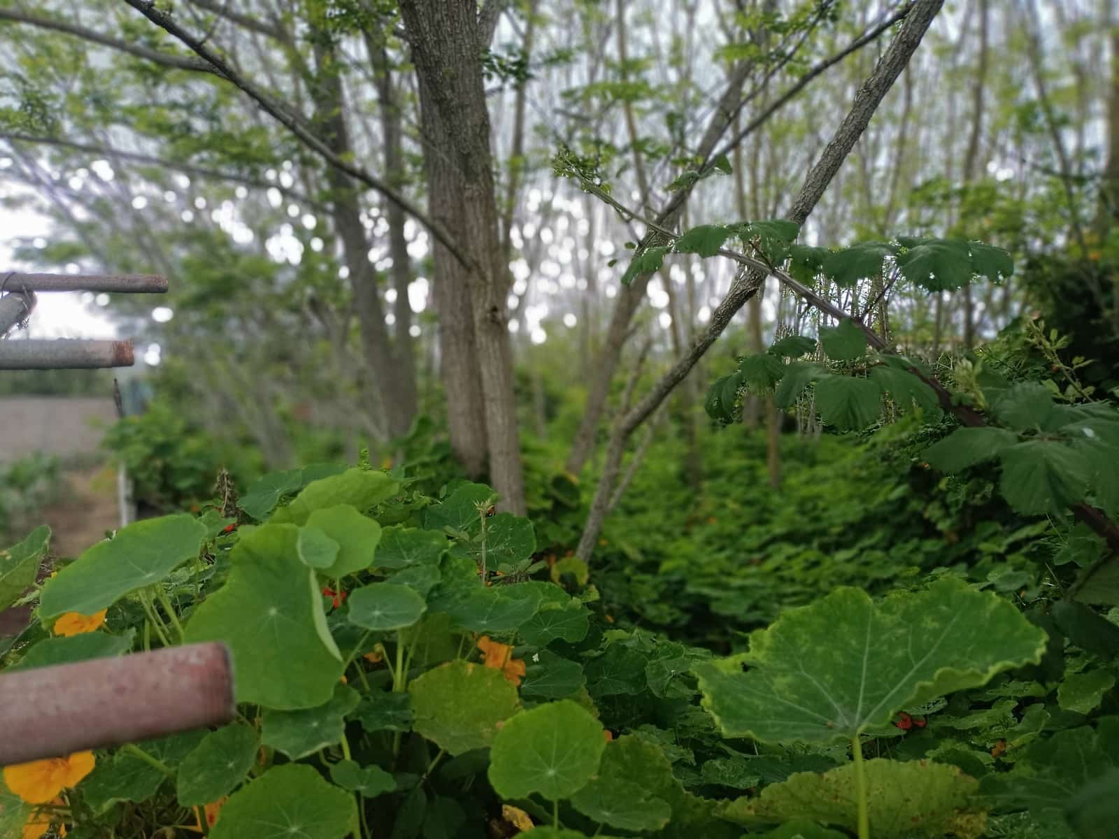 Building Plot for sale in San Cristobal de La Laguna - € 106,000 (Ref: 9048746)