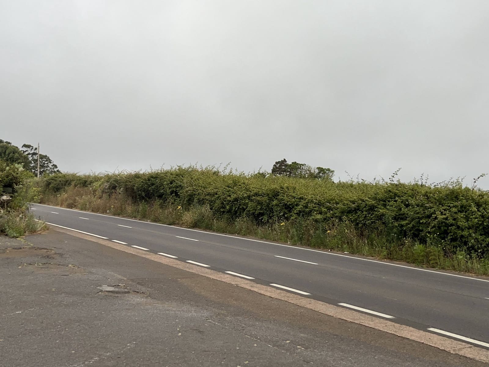 Erhverv til leje i El Rosario med garage - € 1.700 (Ref: 9100719)