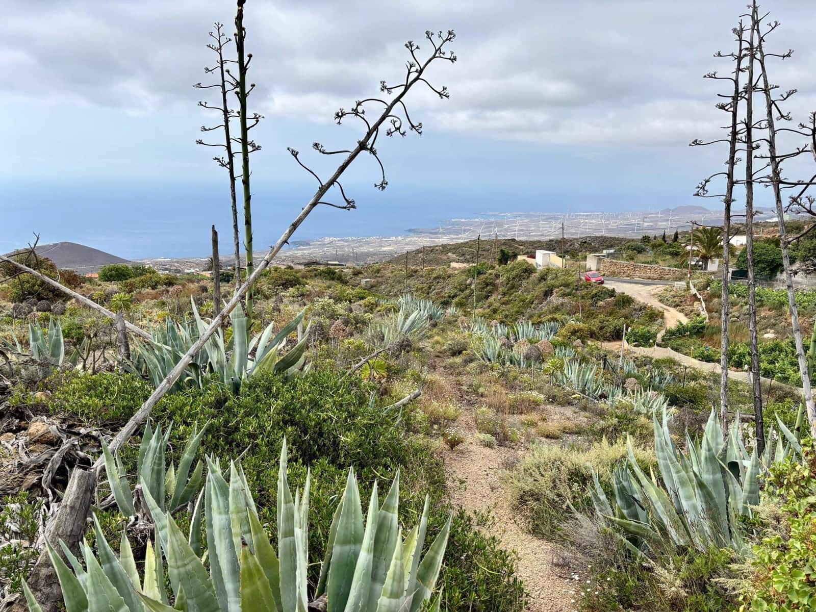 Grunde uden byggetilladelser til salg i Fasnia - € 89.500 (Ref: 9100720)