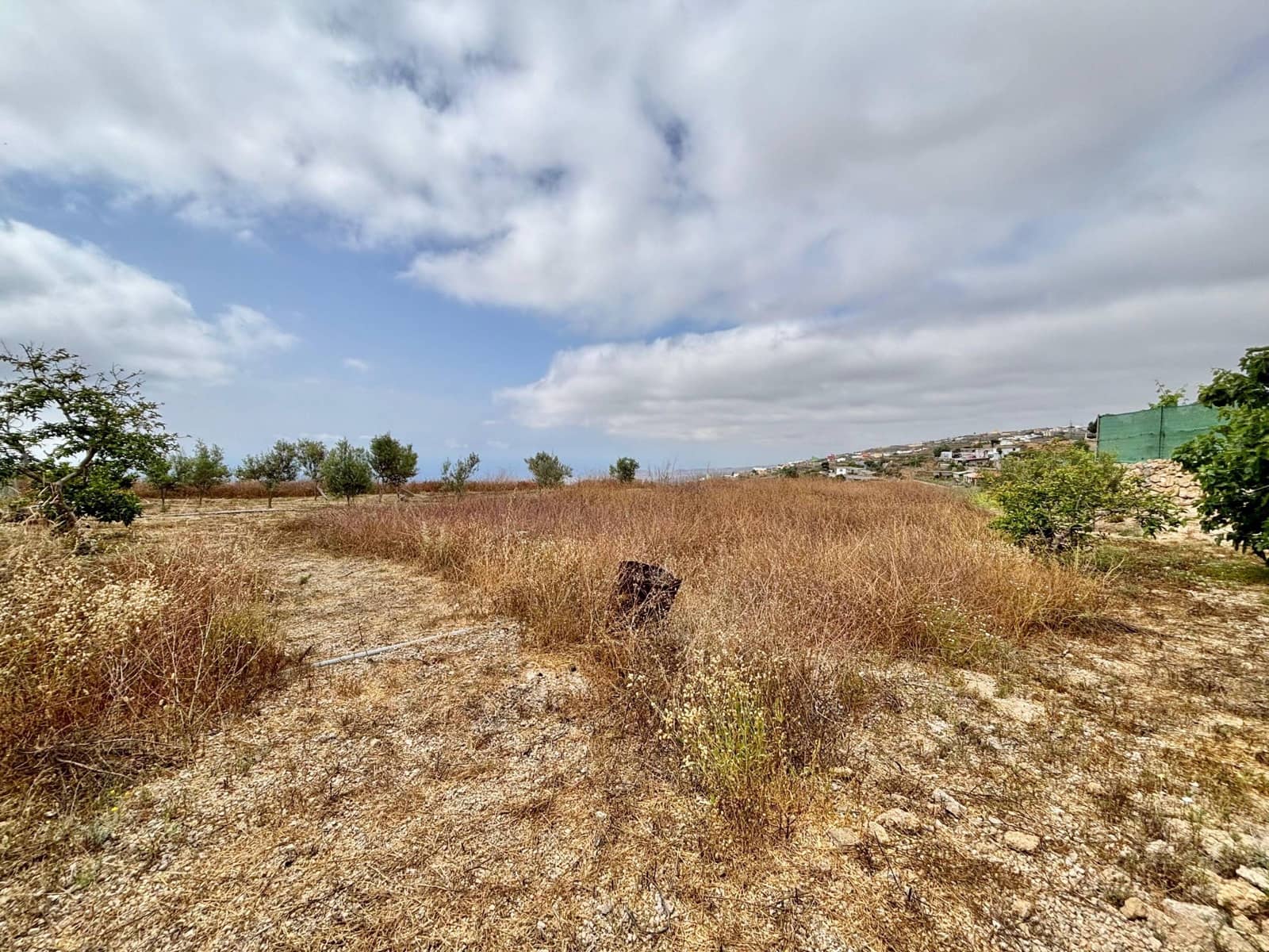 Grunde uden byggetilladelser til salg i Fasnia - € 89.500 (Ref: 9100720)