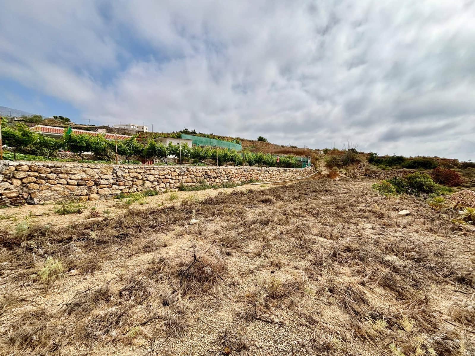 Grunde uden byggetilladelser til salg i Fasnia - € 89.500 (Ref: 9100720)