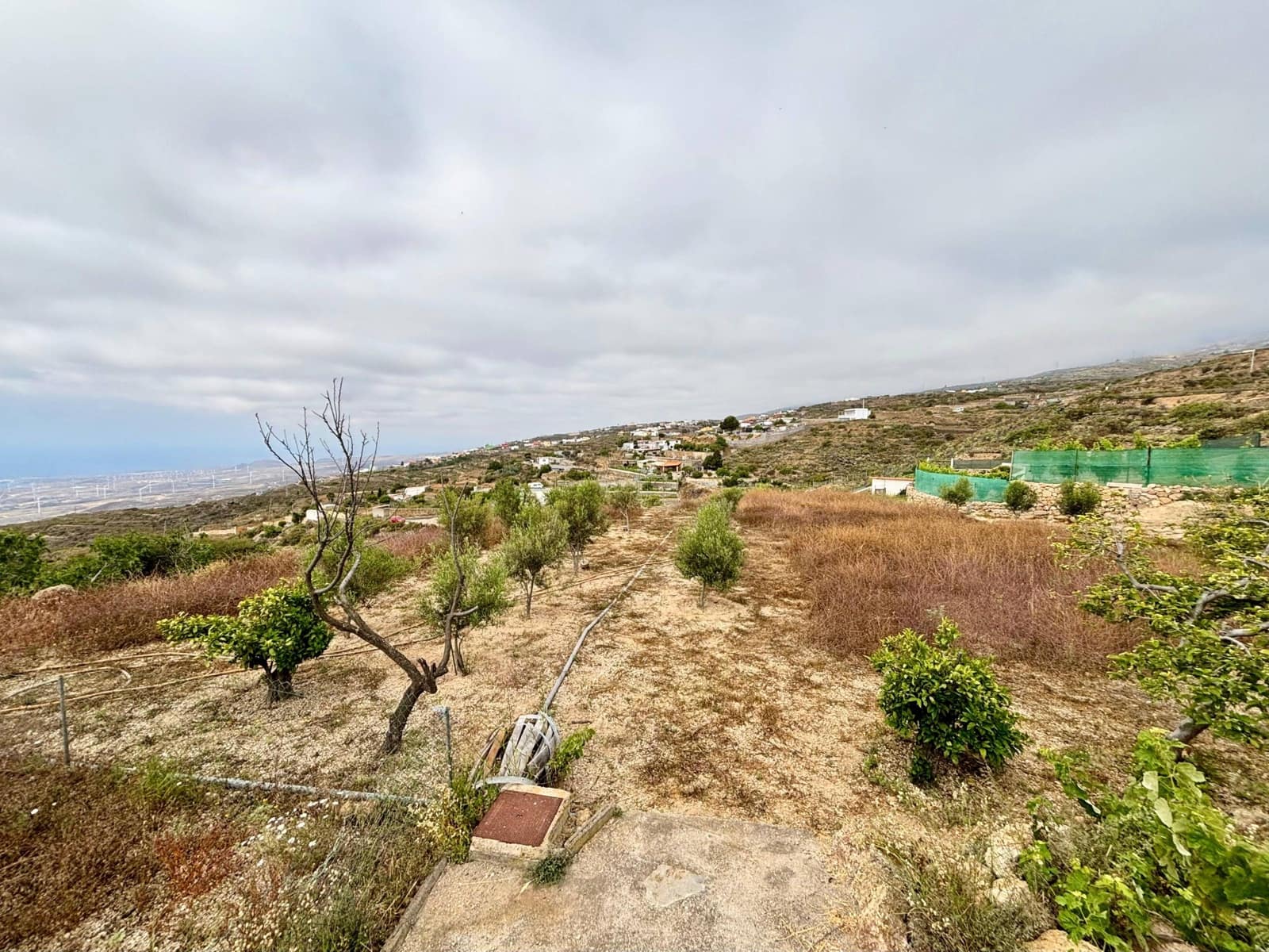 Grunde uden byggetilladelser til salg i Fasnia - € 89.500 (Ref: 9100720)