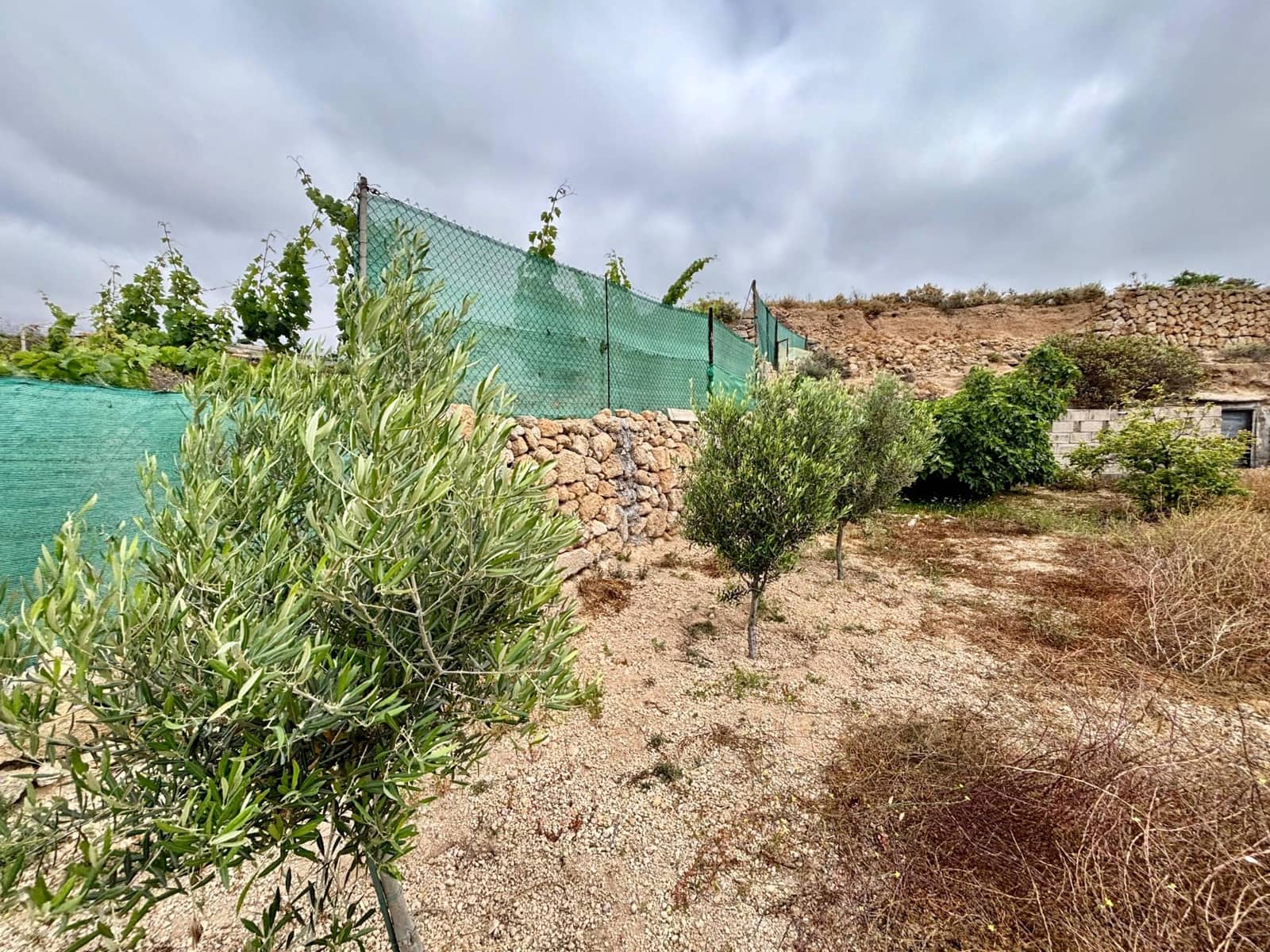 Grunde uden byggetilladelser til salg i Fasnia - € 89.500 (Ref: 9100720)