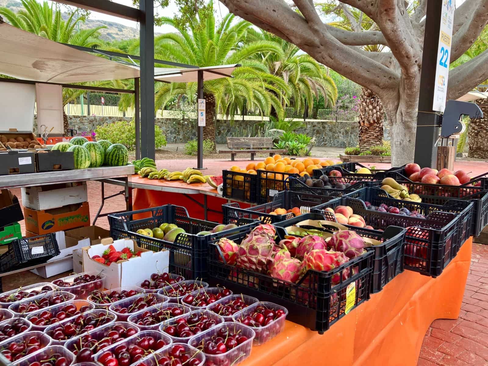 5 makuuhuone Rivitalo myytävänä paikassa San Lorenzo - 240 000 € (Ref: 9110278)