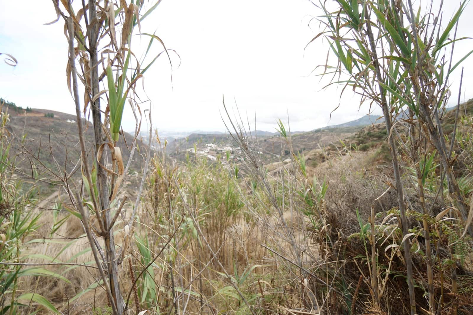 3 sovrum Finca/Hus på landet till salu i Vega de San Mateo - 160 000 € (Ref: 9134443)