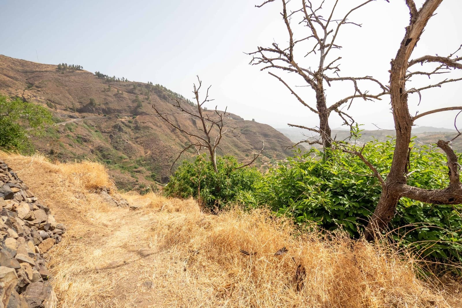 3 sovrum Finca/Hus på landet till salu i Vega de San Mateo - 160 000 € (Ref: 9134443)