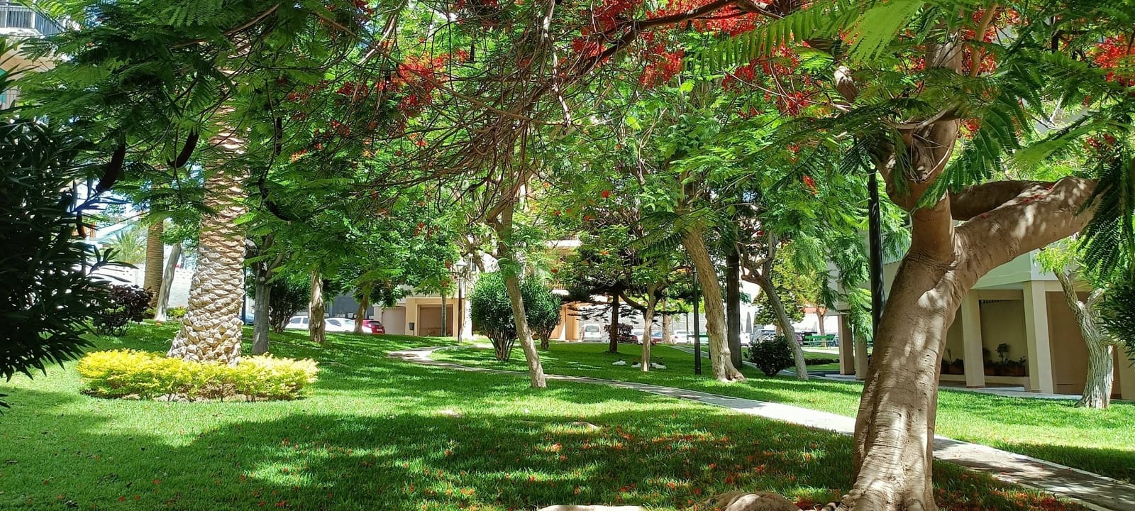 5 bedroom Apartment for sale in Santa Cruz de Tenerife with garage - € 398,000 (Ref: 9162272)