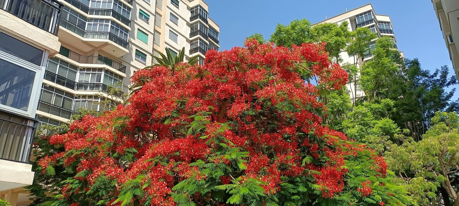 5 bedroom Apartment for sale in Santa Cruz de Tenerife with garage - € 398,000 (Ref: 9162272)