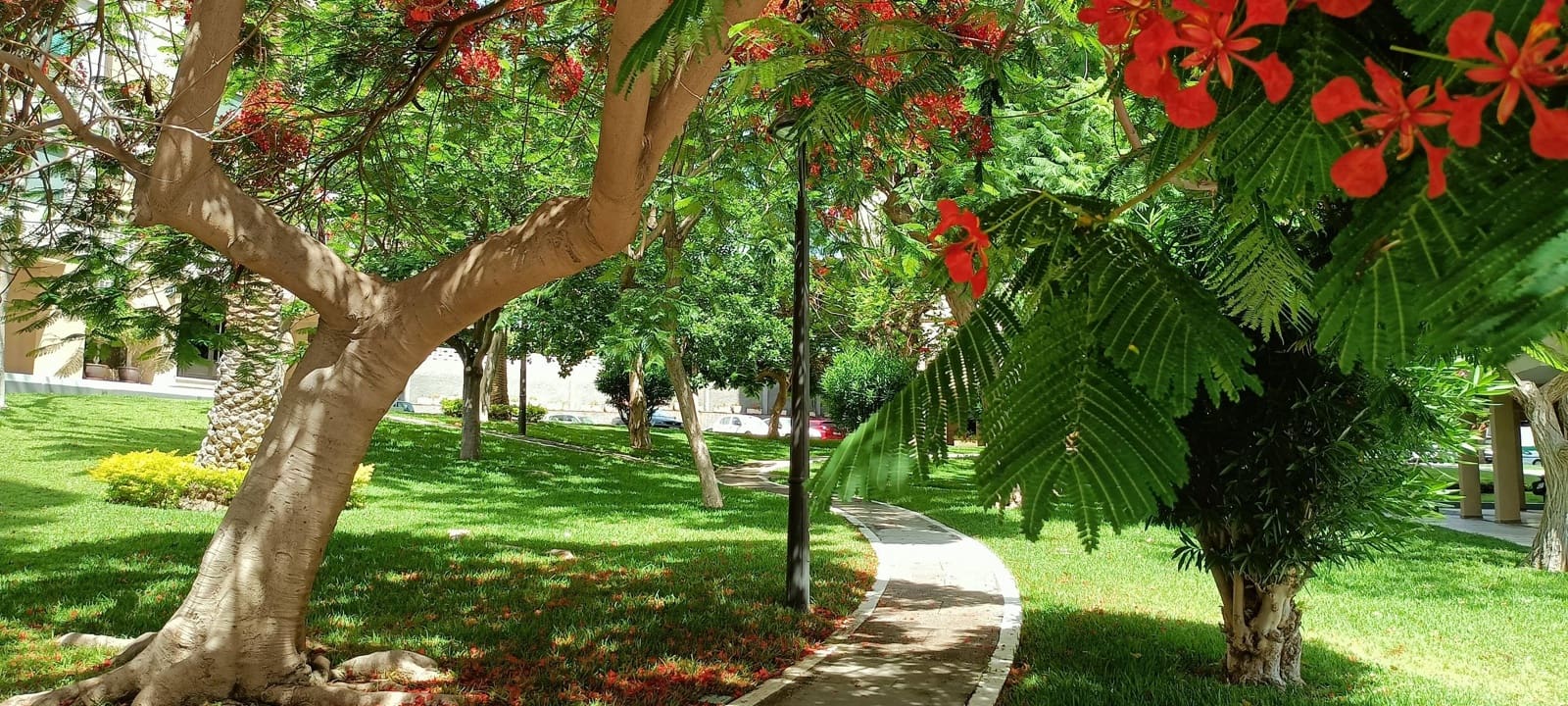 5 bedroom Apartment for sale in Santa Cruz de Tenerife with garage - € 398,000 (Ref: 9162272)