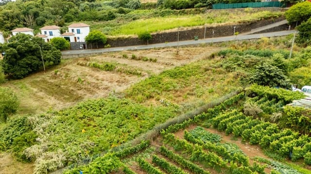 Solar/Parcela en El Sauzal en venta - 107.000 € (Ref: 9162273)