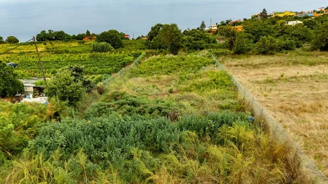 Solar/Parcela en El Sauzal en venta - 107.000 € (Ref: 9162273)