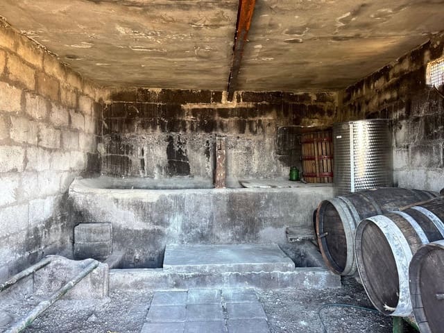 Undeveloped Land for sale in Güímar - € 69,500 (Ref: 9257292)