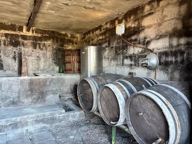 Undeveloped Land for sale in Güímar - € 69,500 (Ref: 9257292)