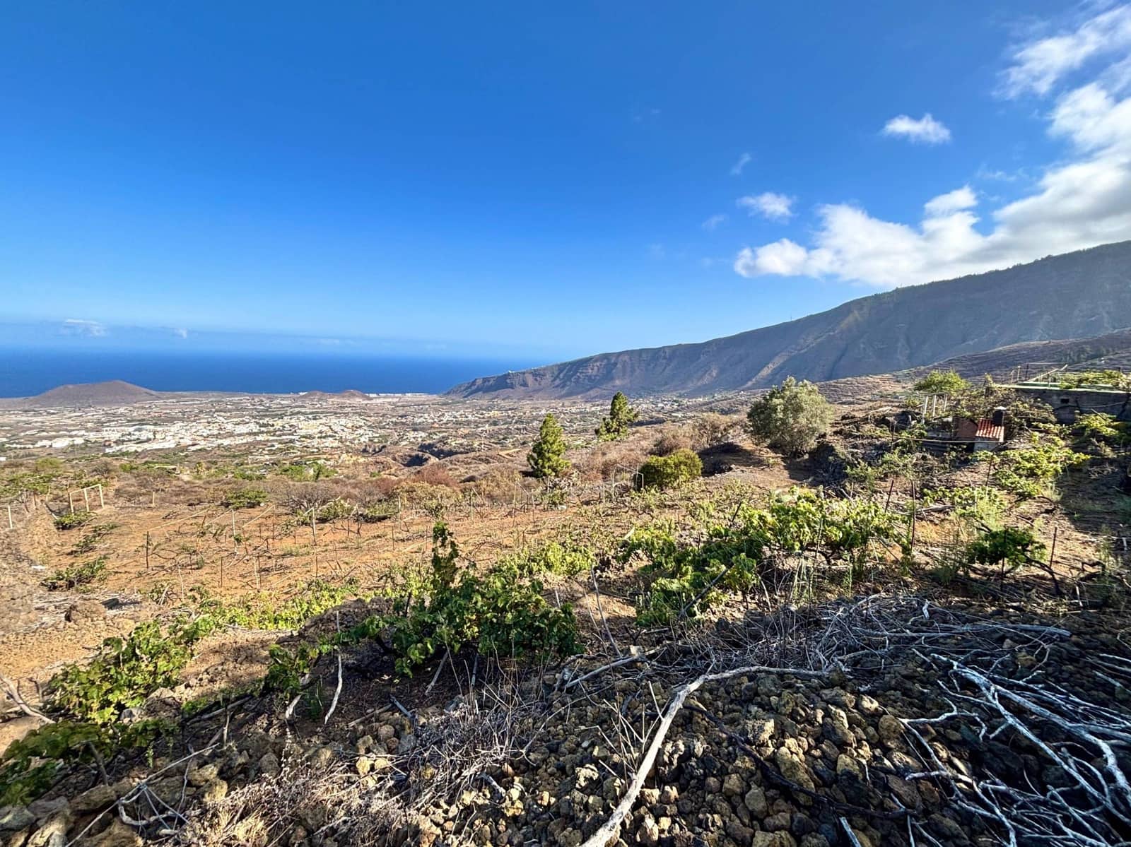 Undeveloped Land for sale in Guimar - € 69,500 (Ref: 9257292)