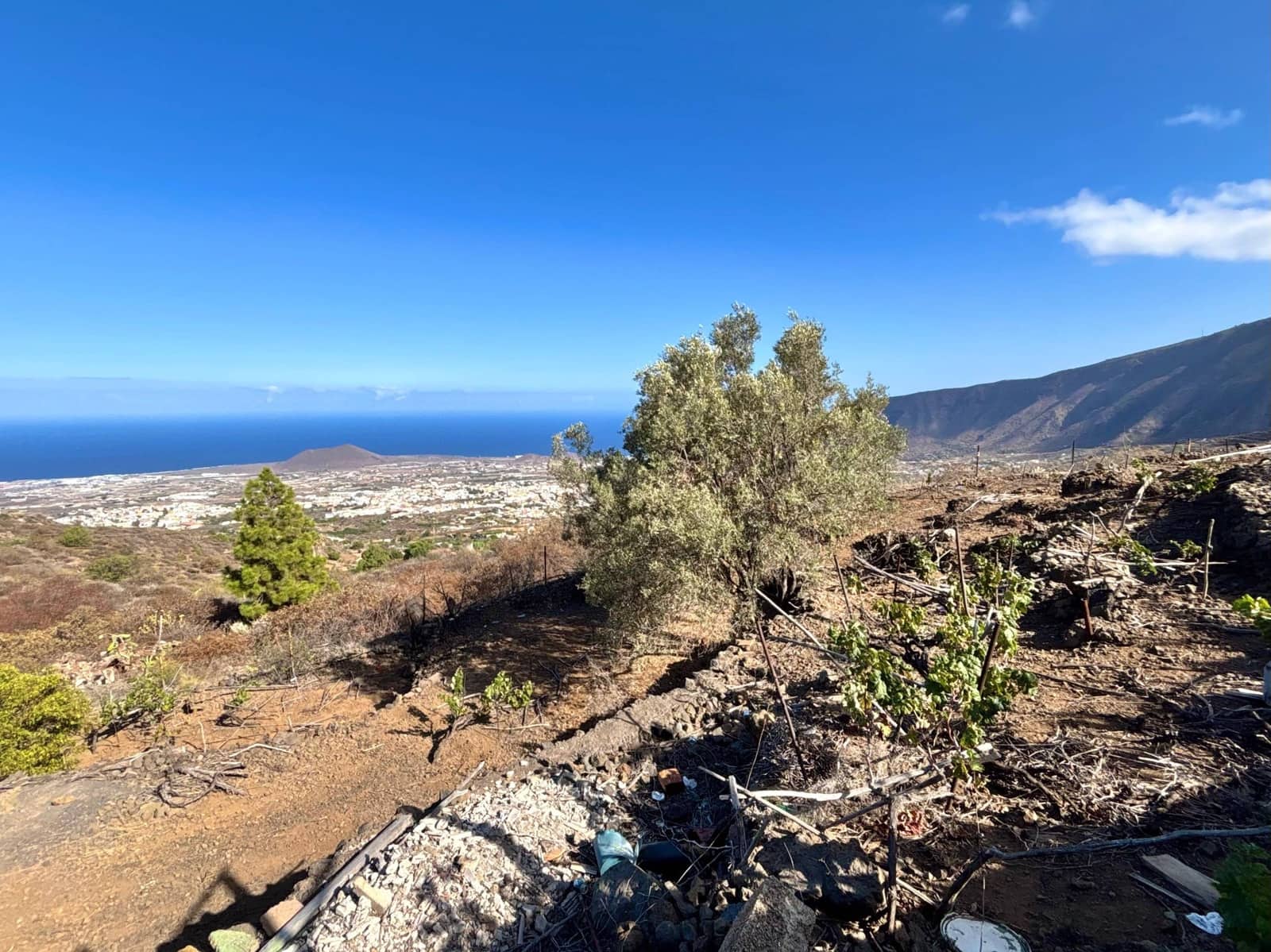 Undeveloped Land for sale in Guimar - € 69,500 (Ref: 9257292)