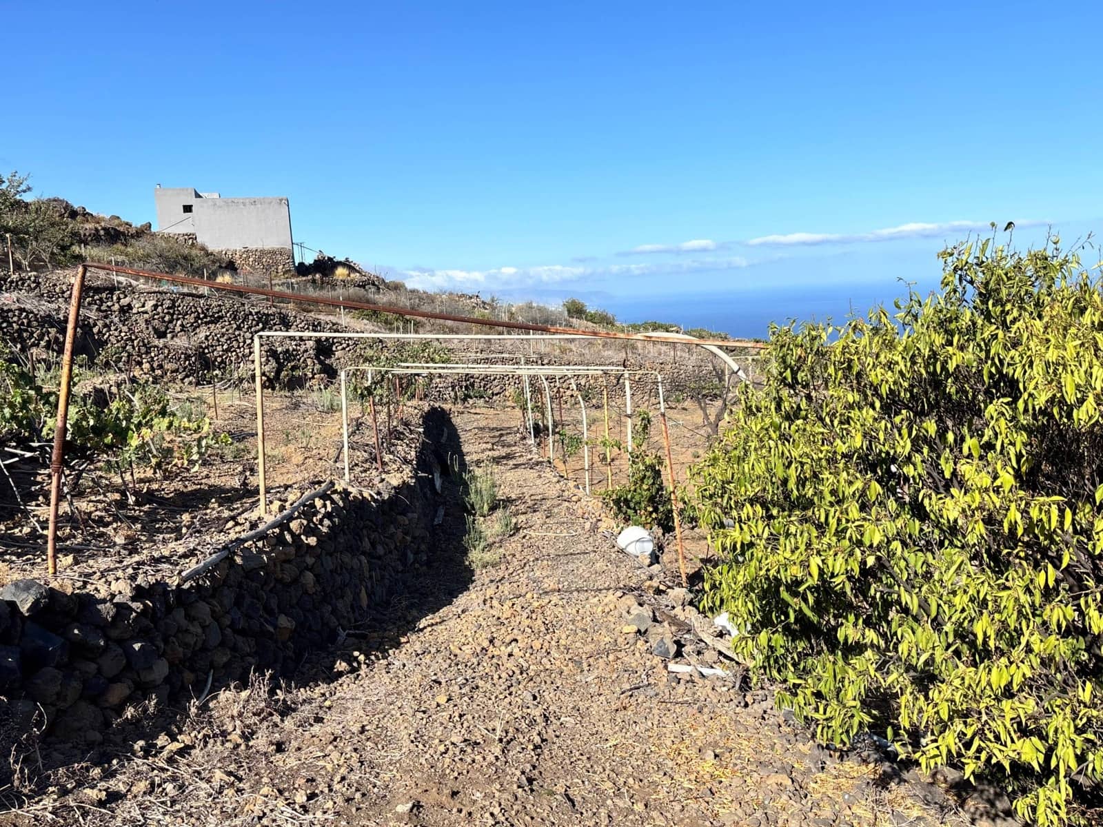 Undeveloped Land for sale in Guimar - € 69,500 (Ref: 9257292)