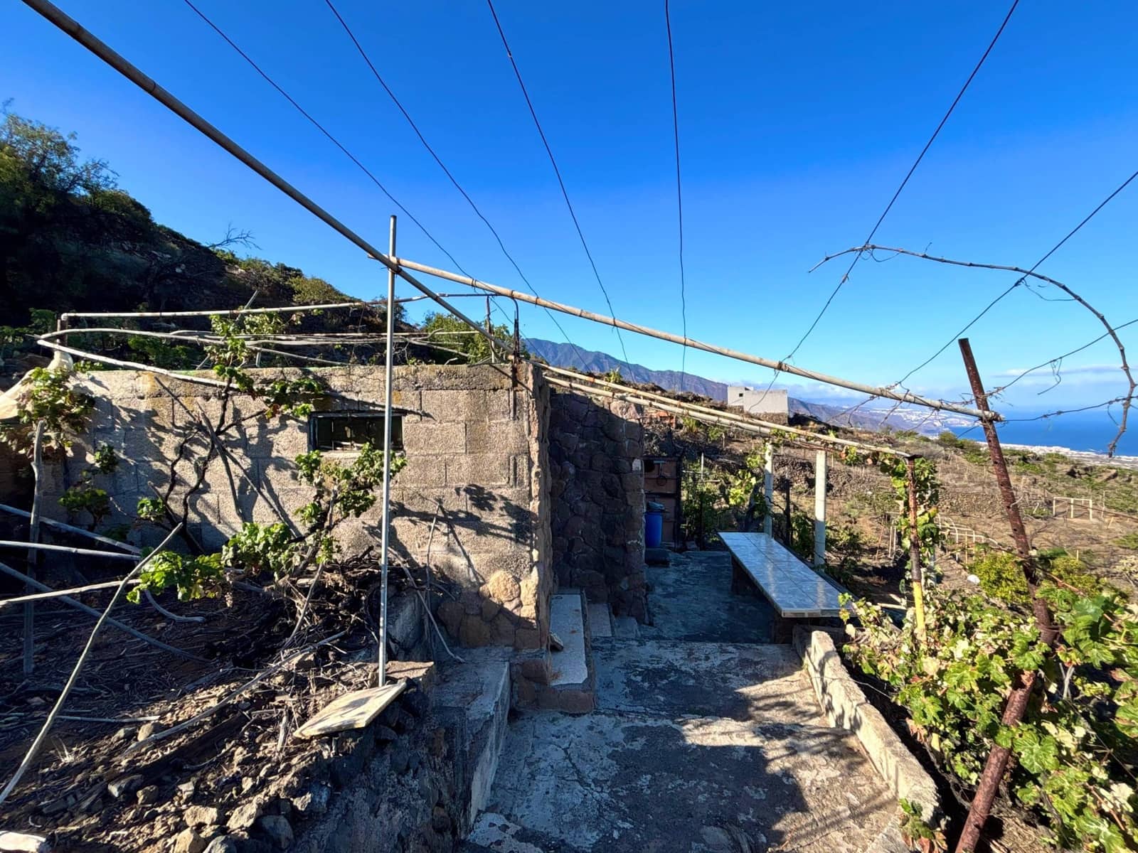 Undeveloped Land for sale in Guimar - € 69,500 (Ref: 9257292)