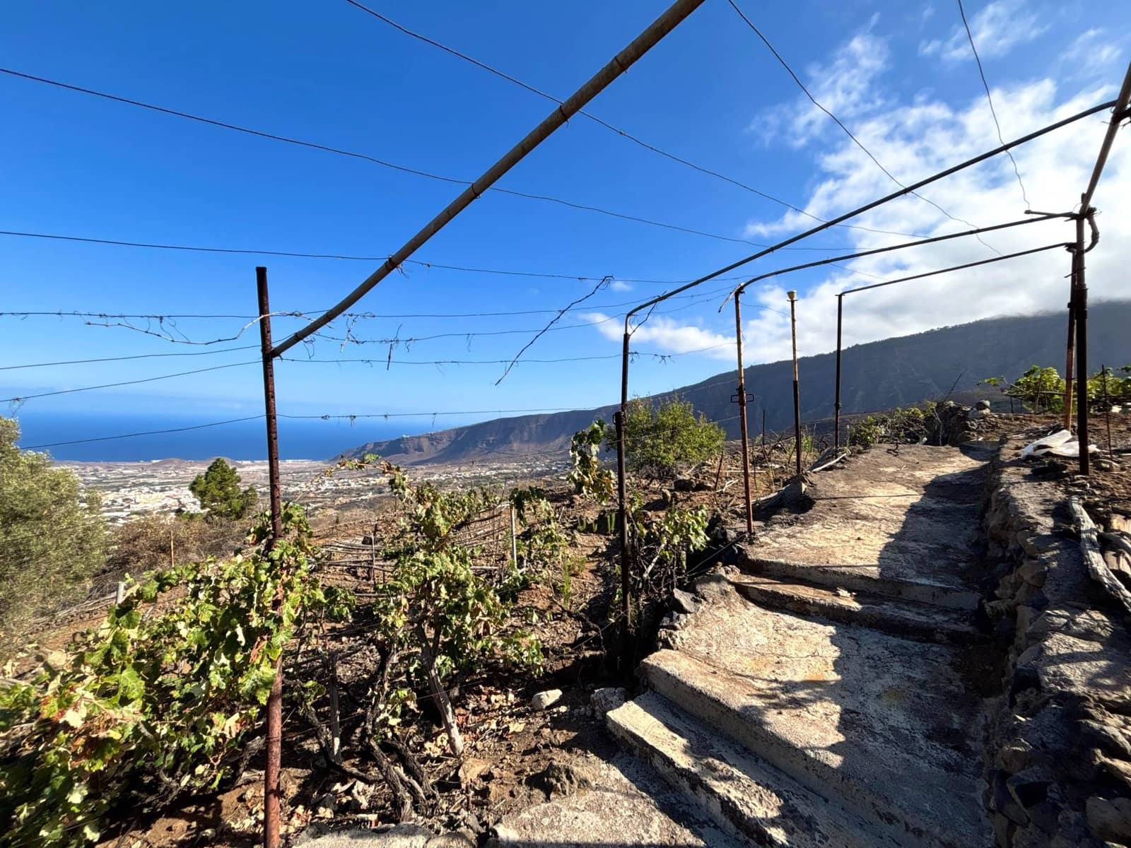 Undeveloped Land for sale in Guimar - € 69,500 (Ref: 9257292)