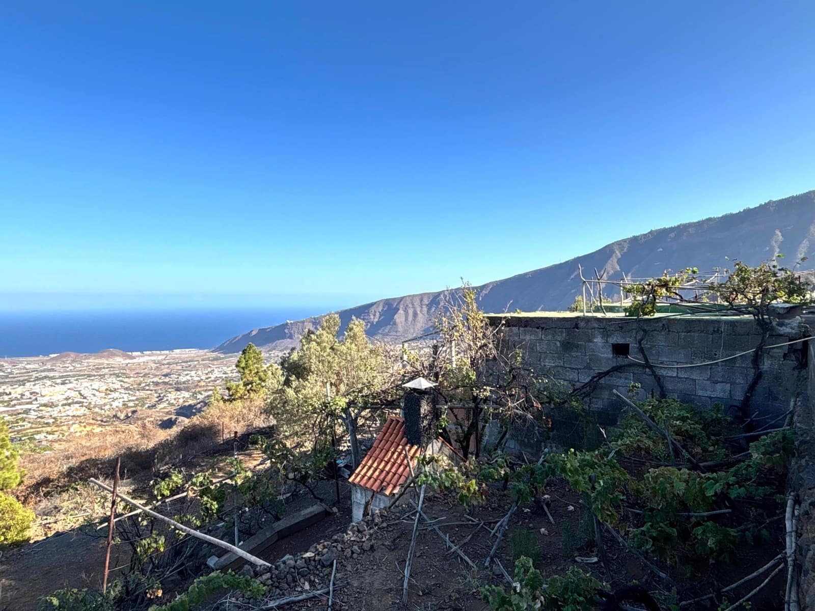 Undeveloped Land for sale in Guimar - € 69,500 (Ref: 9257292)