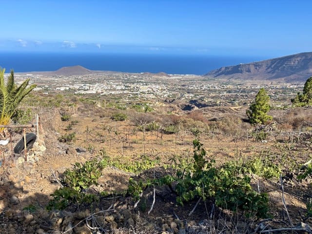 Undeveloped Land for sale in Güímar - € 69,500 (Ref: 9257292)