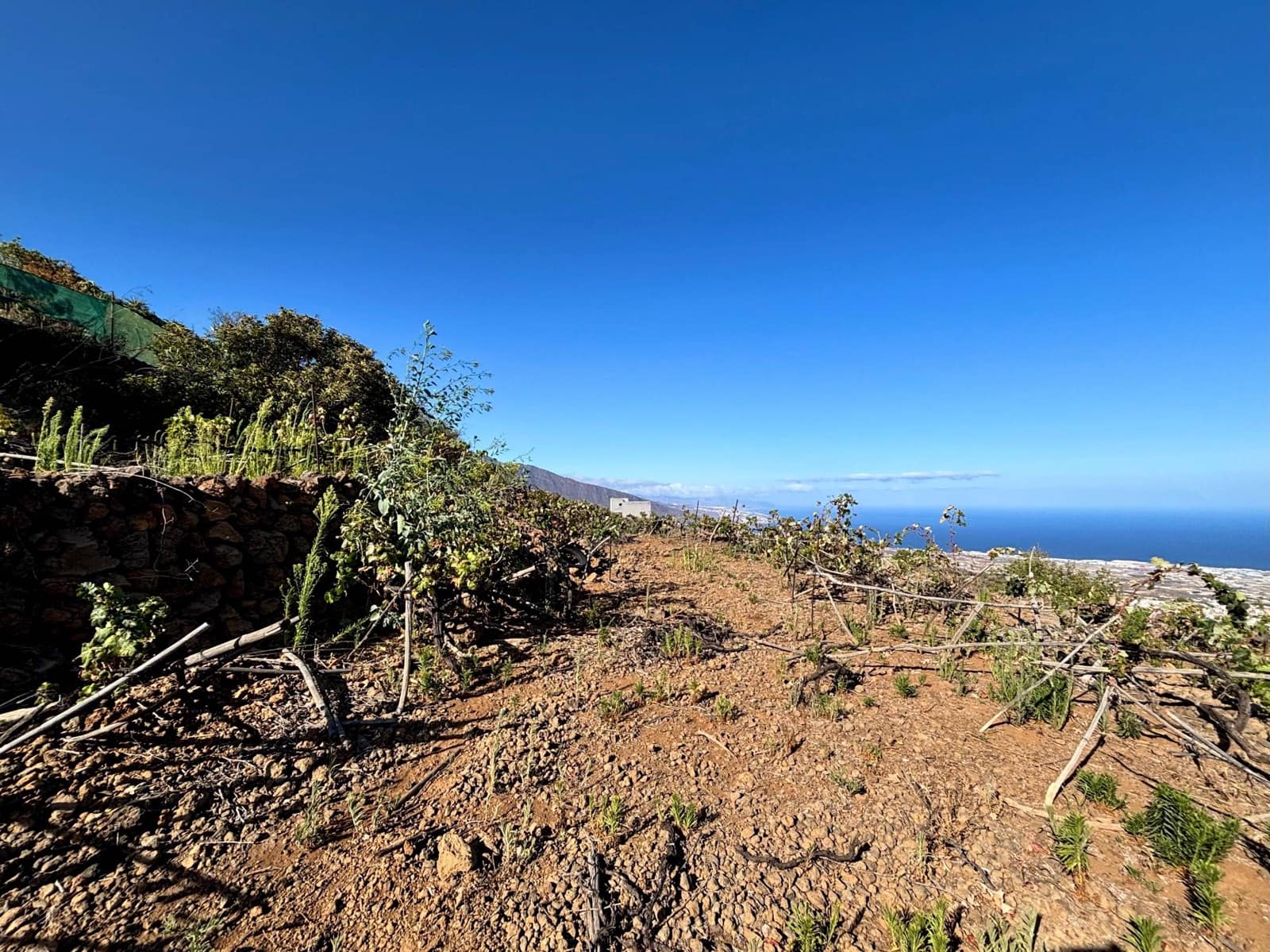 Undeveloped Land for sale in Guimar - € 69,500 (Ref: 9257292)