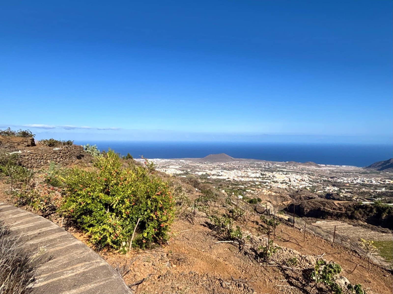 Undeveloped Land for sale in Guimar - € 69,500 (Ref: 9257292)