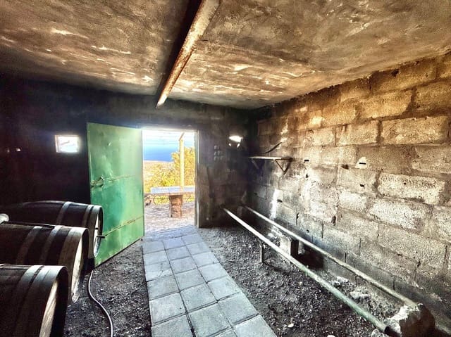 Undeveloped Land for sale in Güímar - € 69,500 (Ref: 9257292)