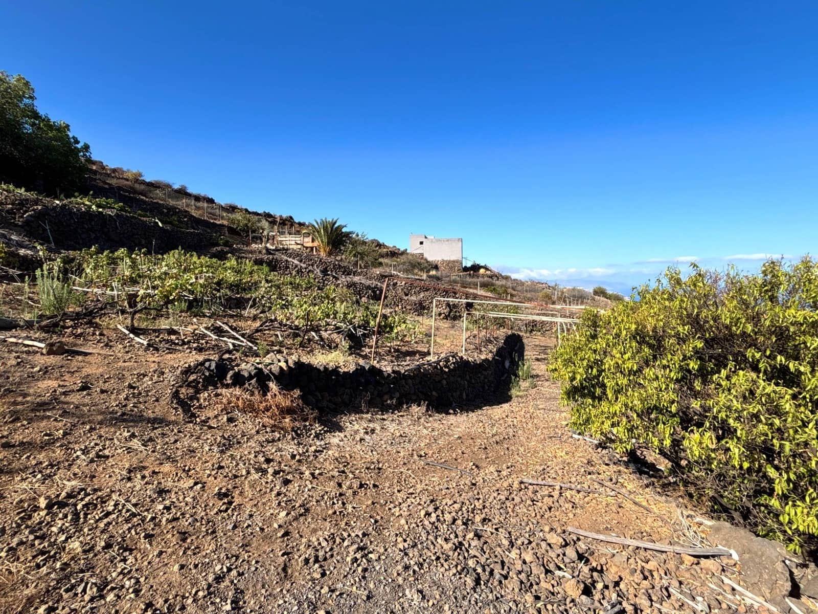 Undeveloped Land for sale in Guimar - € 69,500 (Ref: 9257292)