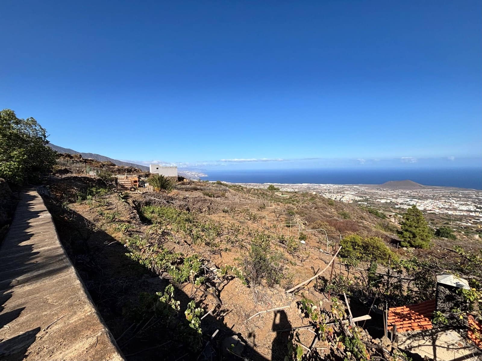 Undeveloped Land for sale in Guimar - € 69,500 (Ref: 9257292)