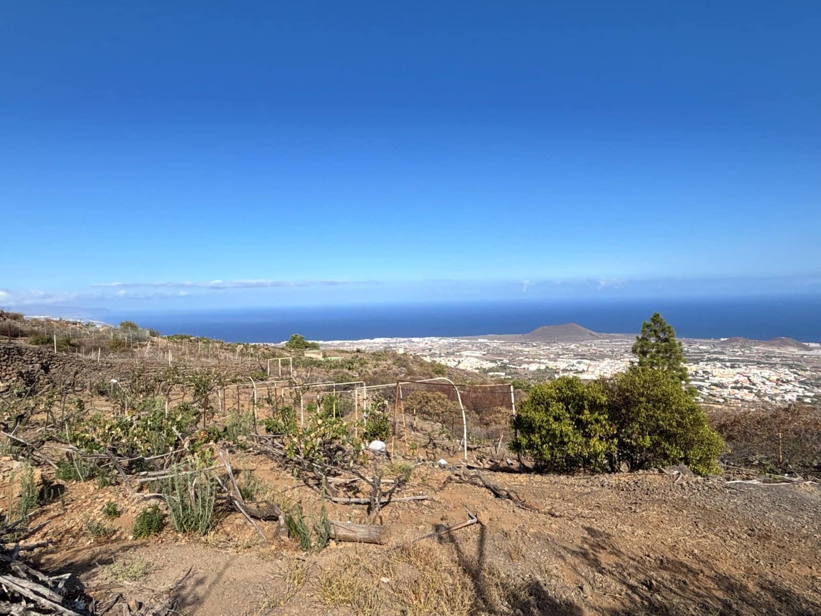 Undeveloped Land for sale in Guimar - € 69,500 (Ref: 9257292)