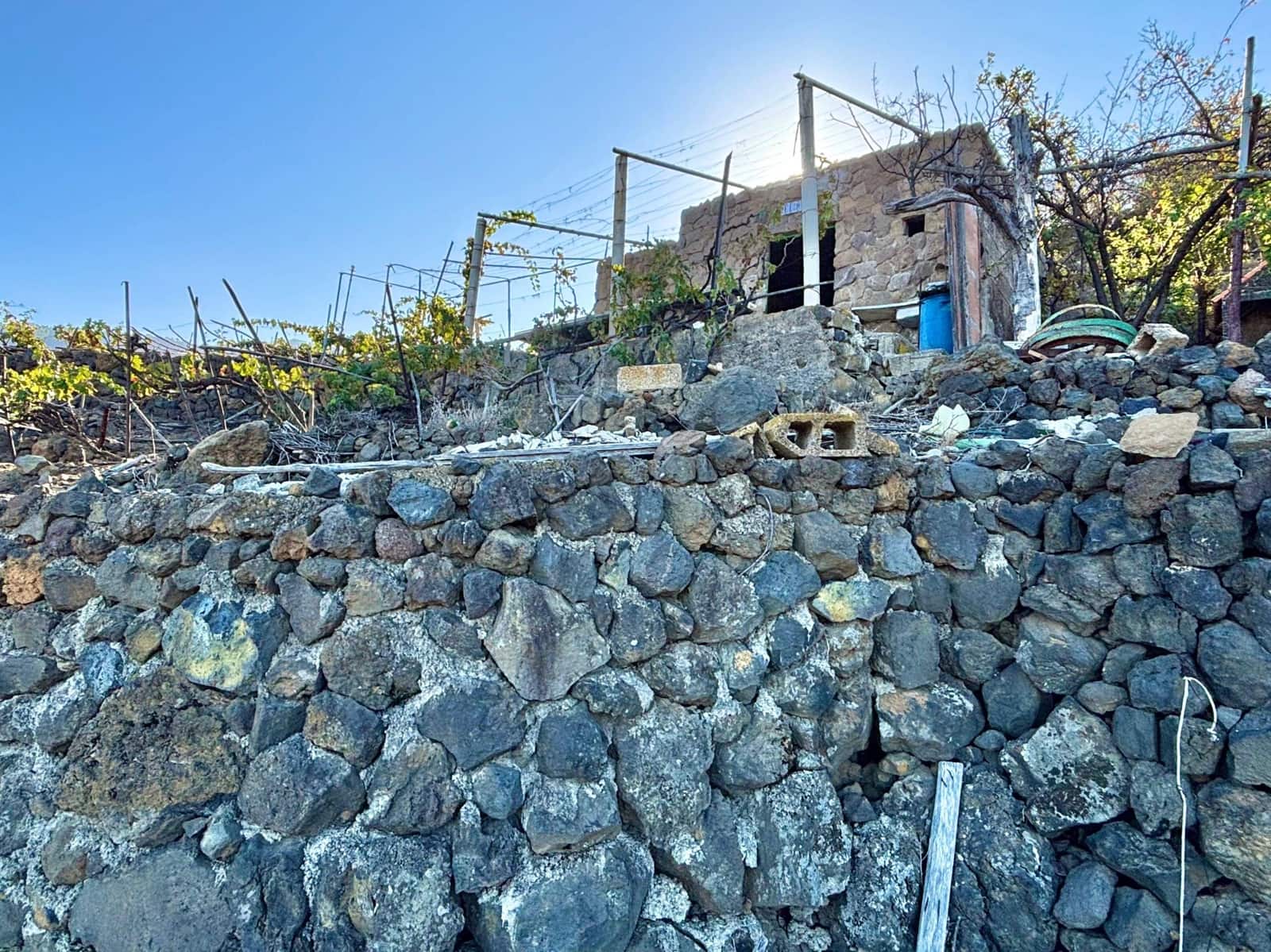 Undeveloped Land for sale in Guimar - € 69,500 (Ref: 9257292)