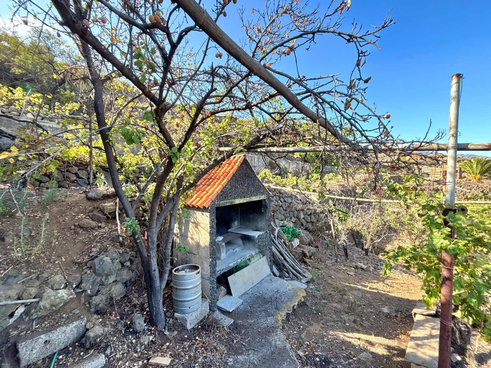 Undeveloped Land for sale in Guimar - € 69,500 (Ref: 9257292)