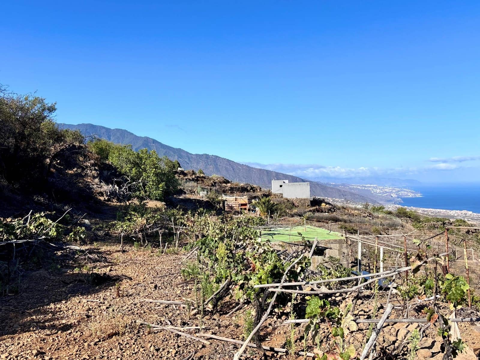 Undeveloped Land for sale in Guimar - € 69,500 (Ref: 9257292)