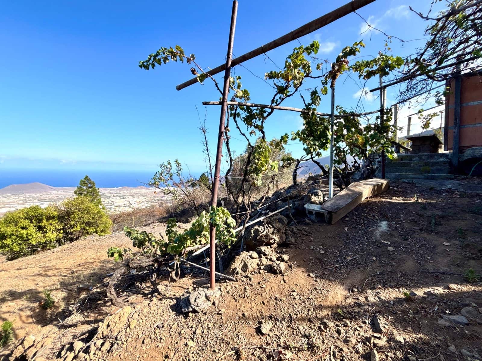 Undeveloped Land for sale in Guimar - € 69,500 (Ref: 9257292)