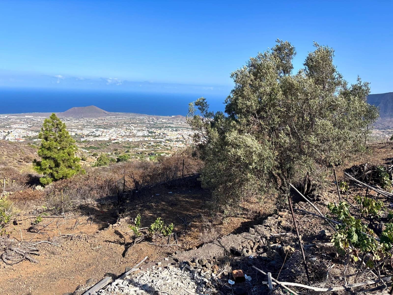 Undeveloped Land for sale in Guimar - € 69,500 (Ref: 9257292)