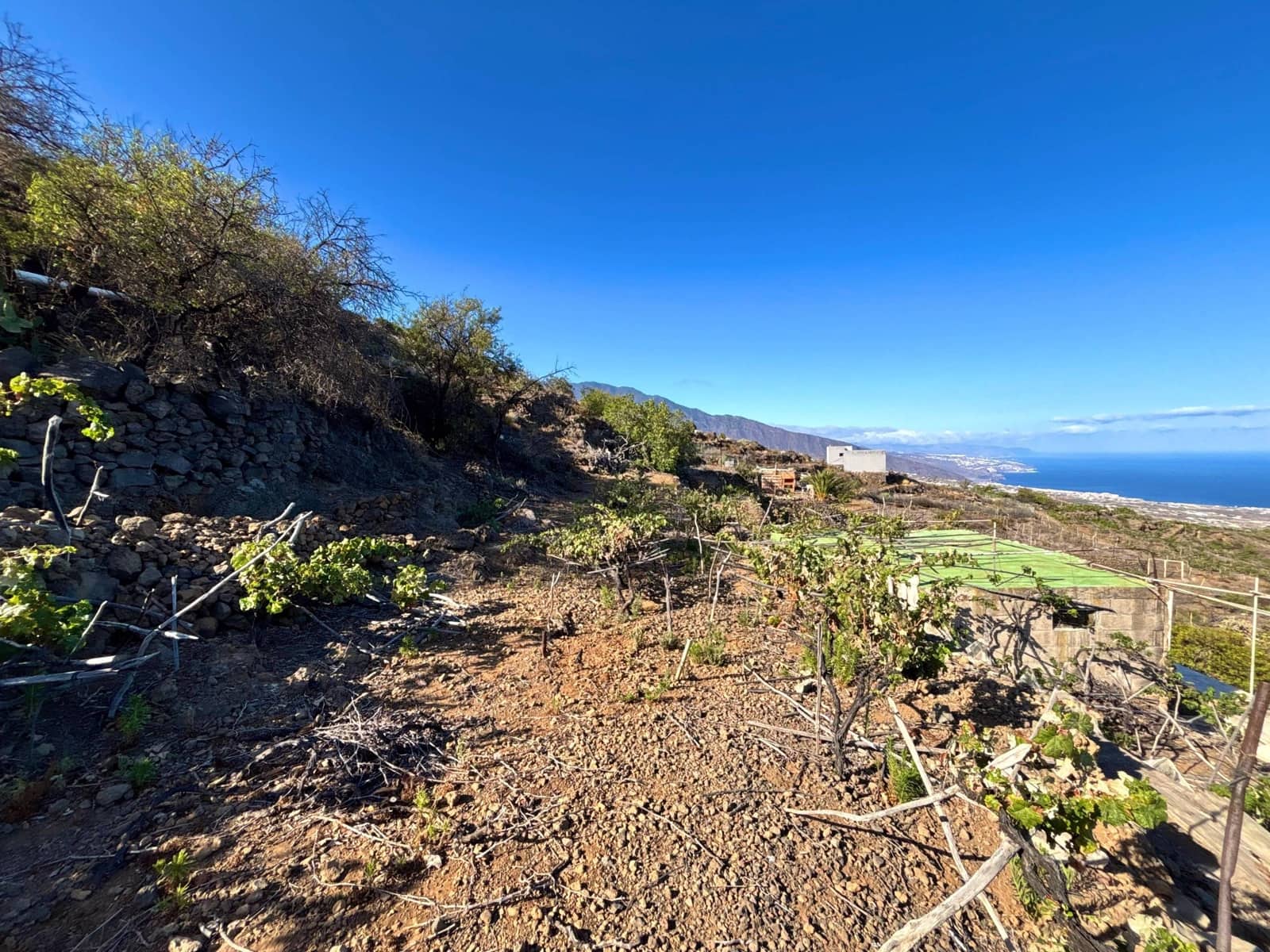 Undeveloped Land for sale in Guimar - € 69,500 (Ref: 9257292)
