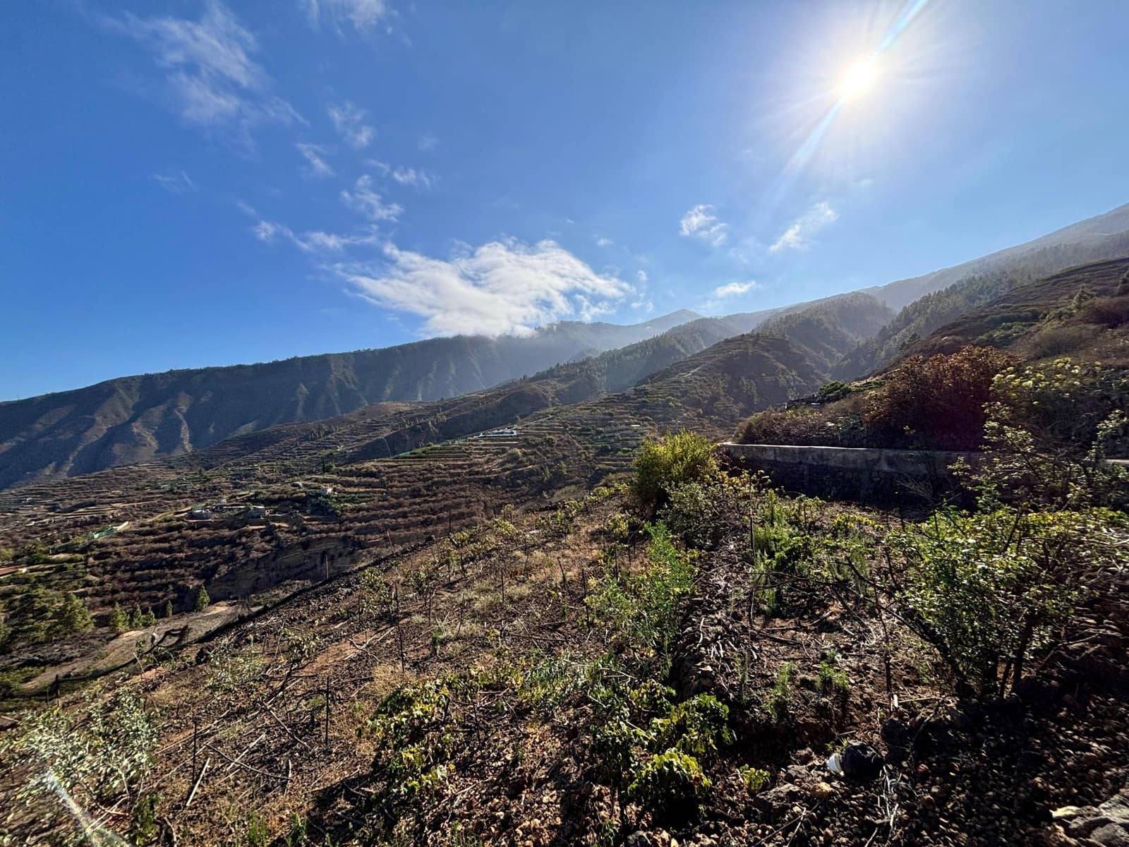 Undeveloped Land for sale in Guimar - € 69,500 (Ref: 9257292)