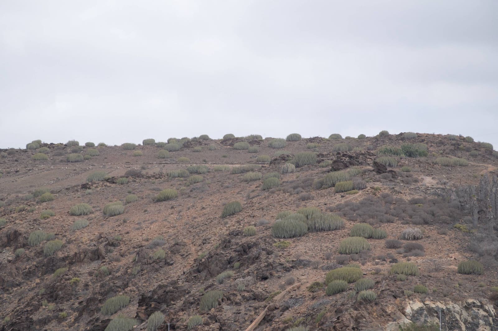 3 sypialnia Penthouse na sprzedaż w San Bartolome de Tirajana - 285 000 € (Ref: 9257296)