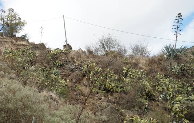 3 soveværelse Finca/Landehus til salg i Vega de San Mateo - € 160.000 (Ref: 9272601)