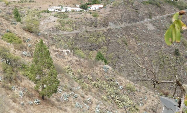 3 soveværelse Finca/Landehus til salg i Vega de San Mateo - € 160.000 (Ref: 9272601)