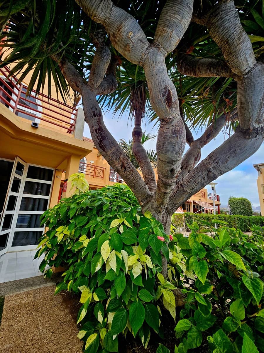 Bungalow de 1 habitación en Playa del Inglés en venta - 295.000 € (Ref: 9276337)