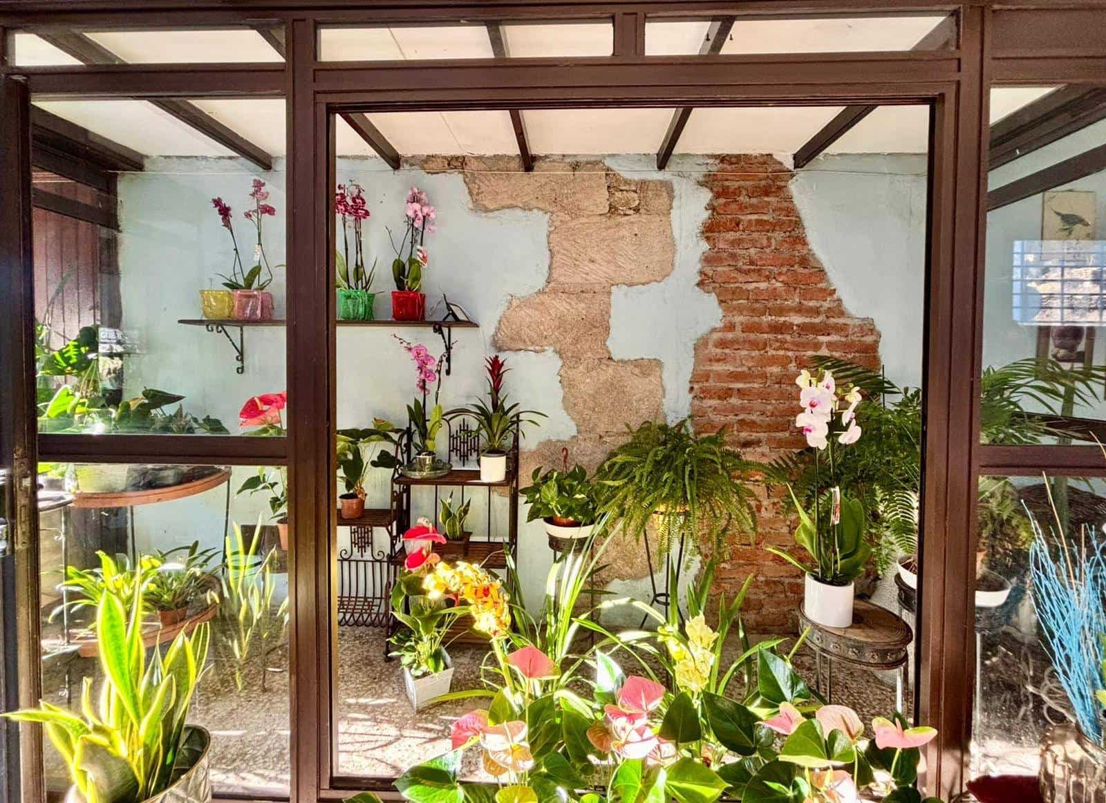 Commerciale da affittare in Guimar - 400 € (Rif: 9301051)