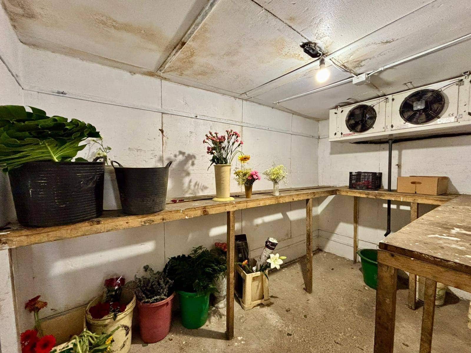 Commerciale da affittare in Guimar - 400 € (Rif: 9301051)