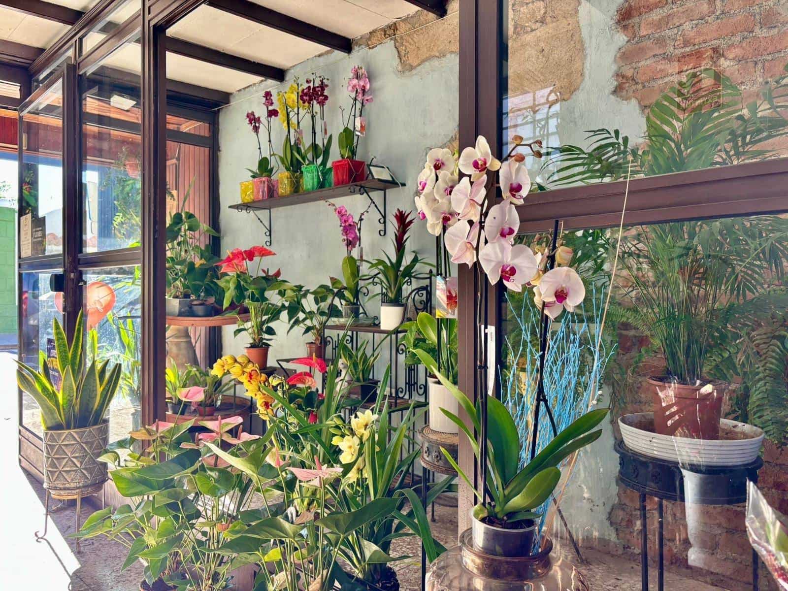 Commerciale da affittare in Guimar - 400 € (Rif: 9301051)