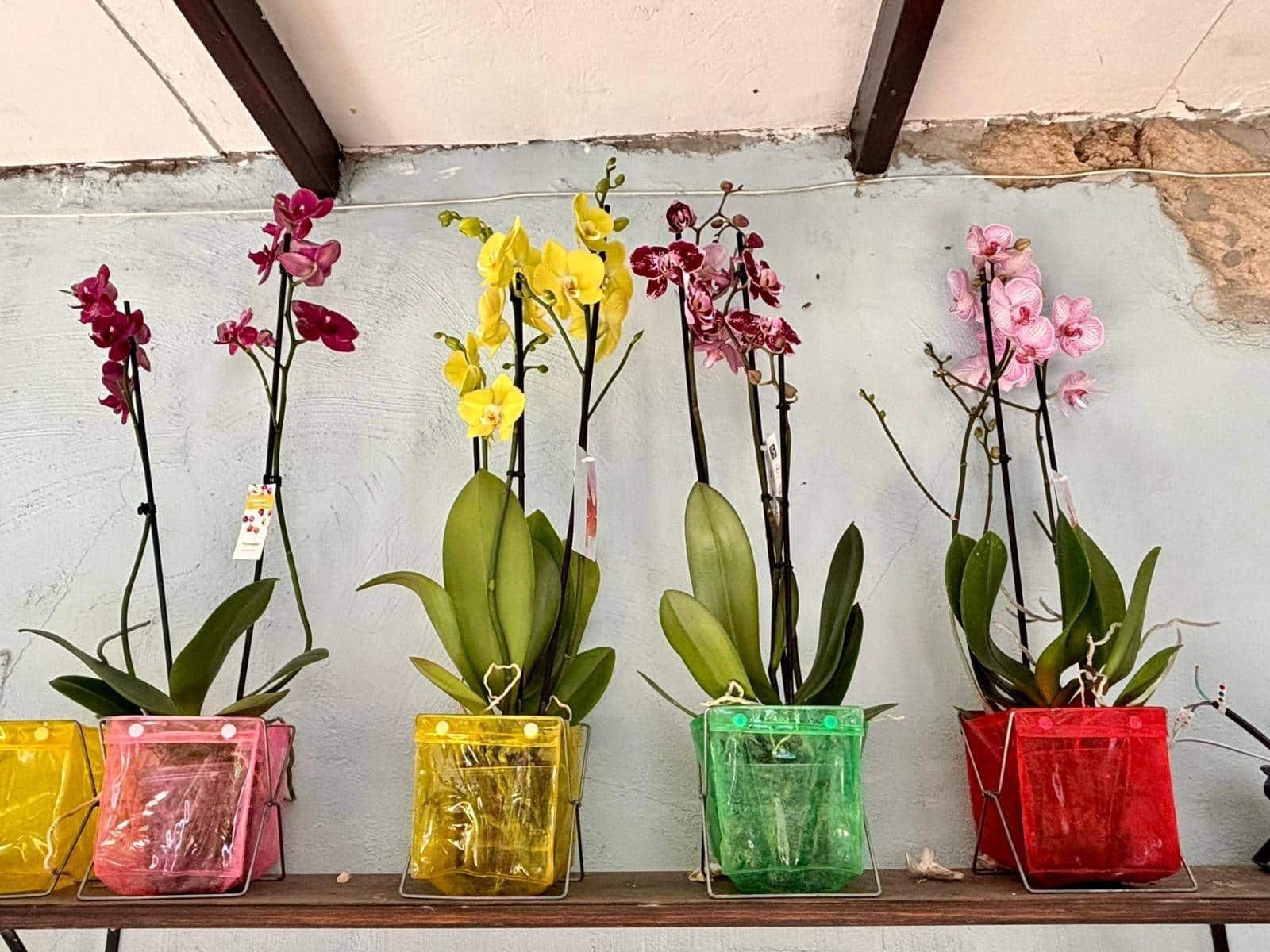 Commerciale da affittare in Guimar - 400 € (Rif: 9301051)